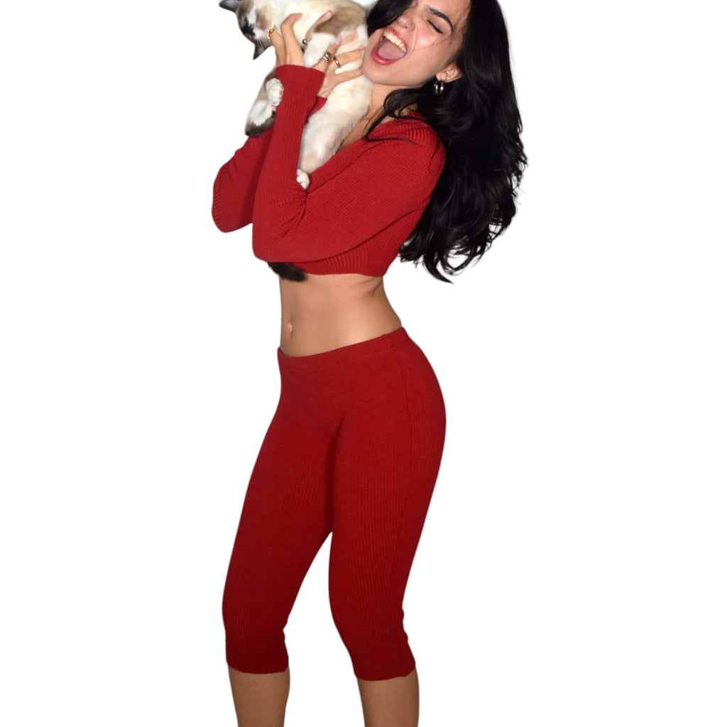 Woman wearing a red outfit holding a small dog on a plain background