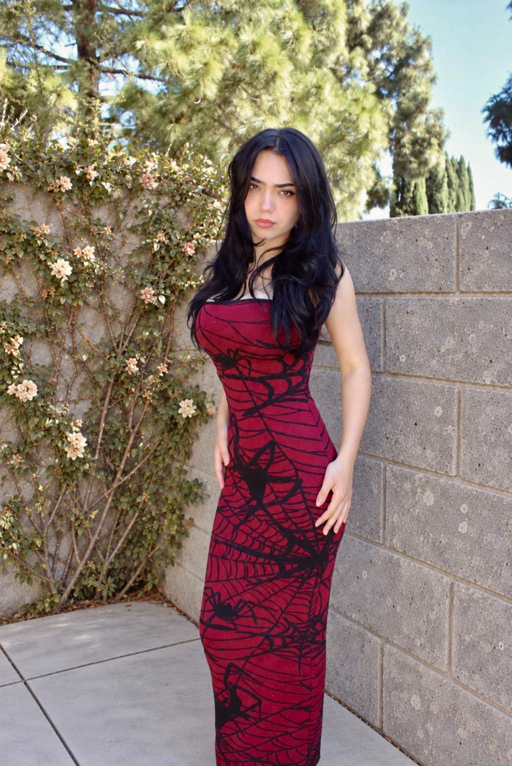 A woman with long black hair stands outdoors against a stone wall and flowering bushes, wearing a sleeveless red maxi dress with a black spiderweb and spider graphic print.